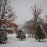 网上赌博网的市场现状与未来发展趋势分析 8mdg6