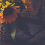 《军情直播间》第一季重磅回归深度解析 81ozck2hvt