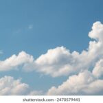 《健康之路》直播在线观看:守护您的健康每一天 a0q05x