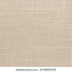 《今日关注》直播特别节目:聚焦今日热点事件 jc6512454